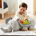 Ontdekkingsdier Olifant