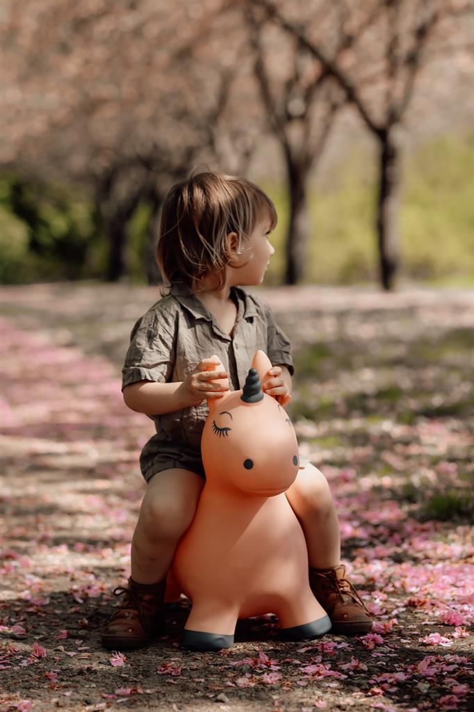 Springdier Eenhoorn Luna - Find that Hippo