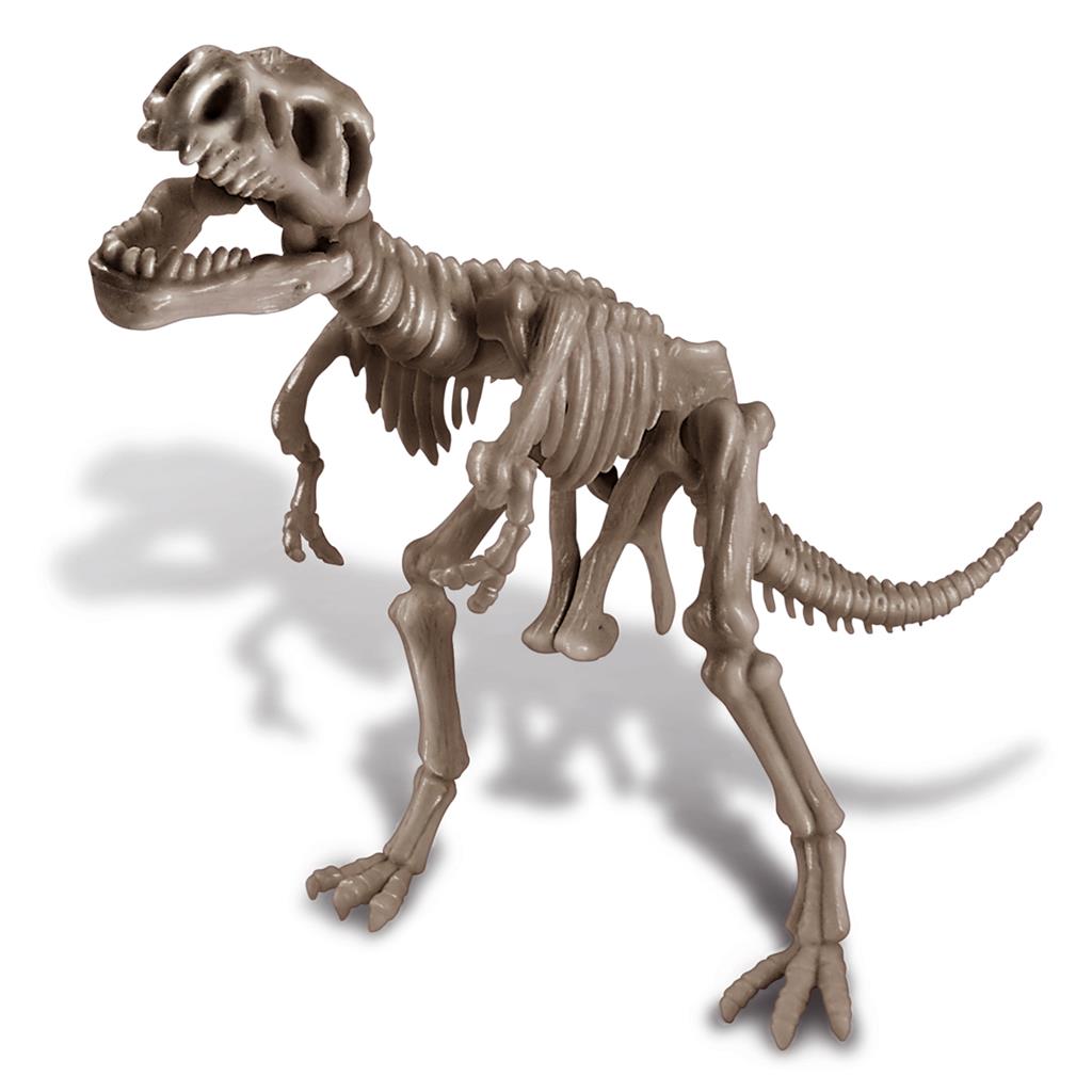 4M KidzLabs Graaf je dinosaurus op (Tyrannosaurus rex)