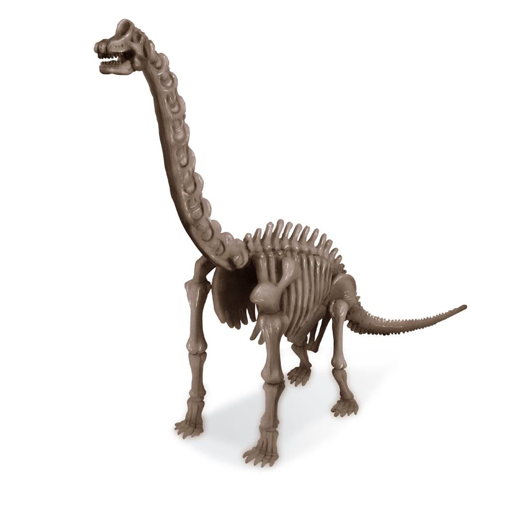 4M KidzLabs Graaf je dinosaurus op (Brachiosaurus)