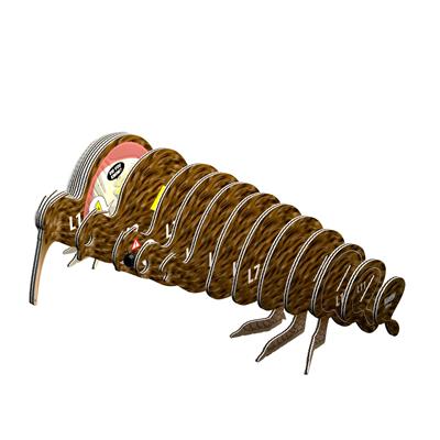 Eugy Kiwi