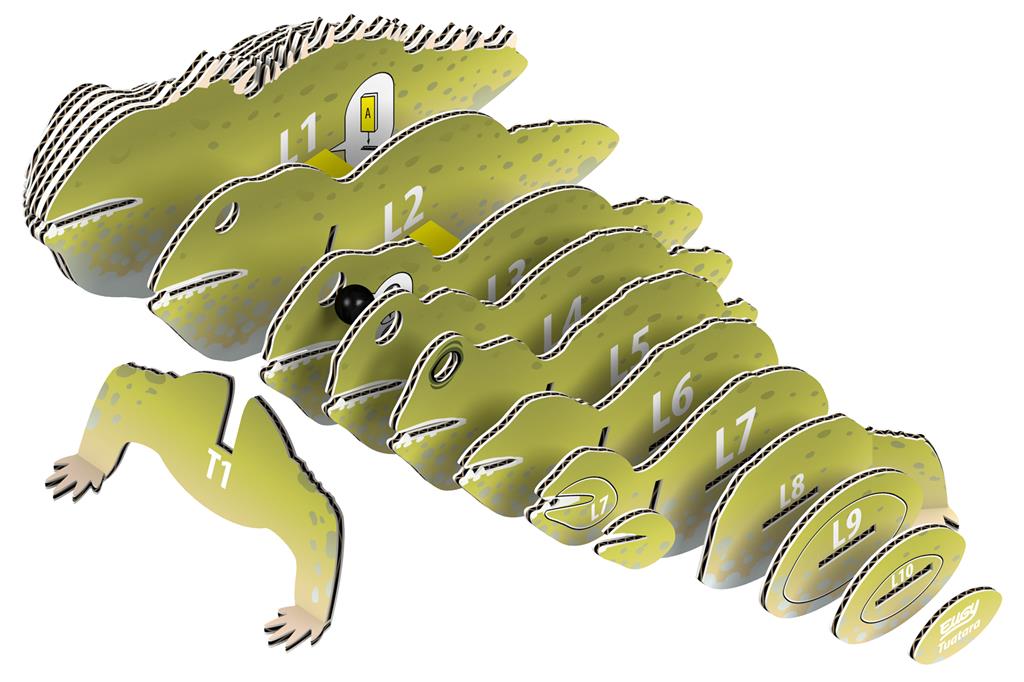 Eugy 3D tuatara