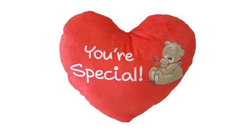 Hart kussen 'you're special' Valentijn