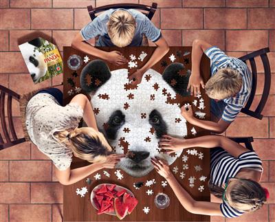 I am Puzzle Panda