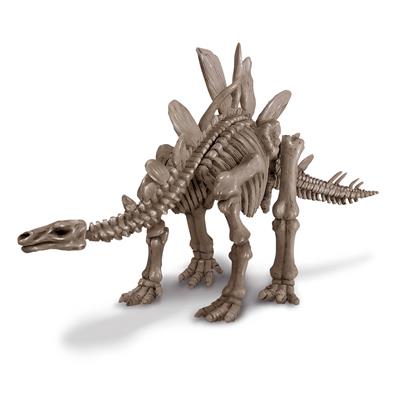 4M KidzLabs Graaf je dinosaurus op (Stegosaurus)
