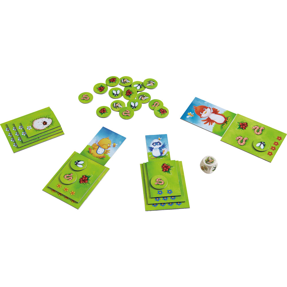 Spel - Kleine vogel, grote honger