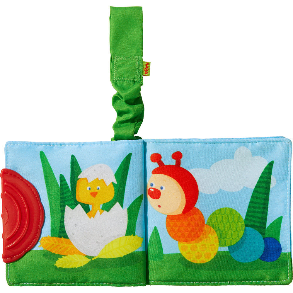 Buggyboek Regenboogrups
