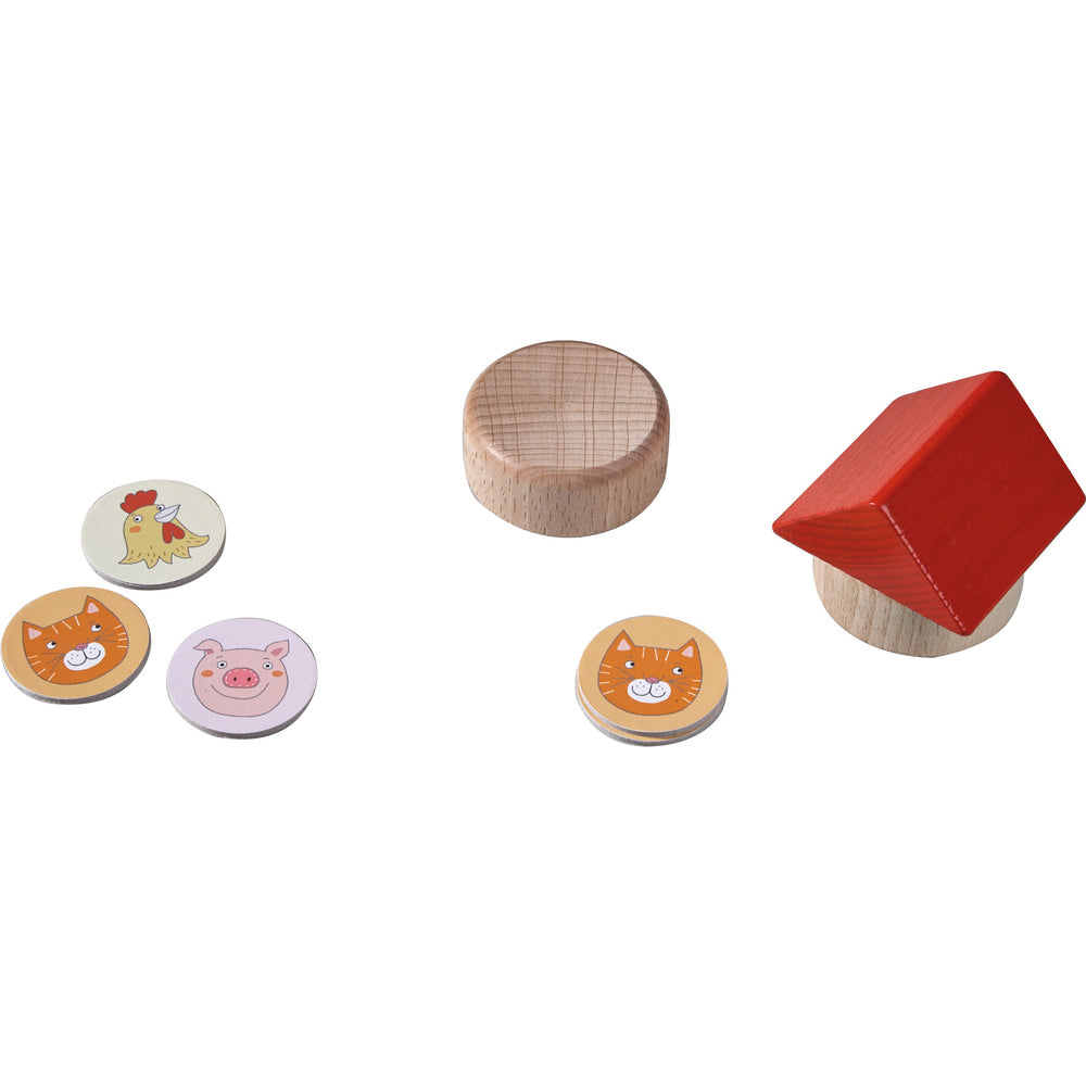 Mijn eerste spellen - Iene, miene, mij, in welk huis woon jij?