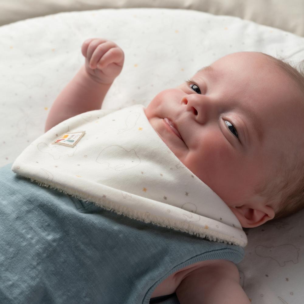2 baby bandana's bio