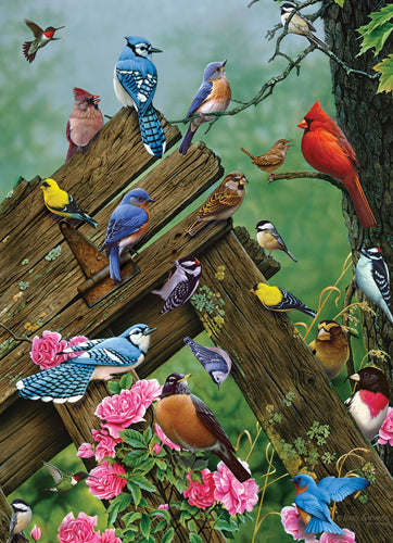CH Birds of the Forest 1000p.