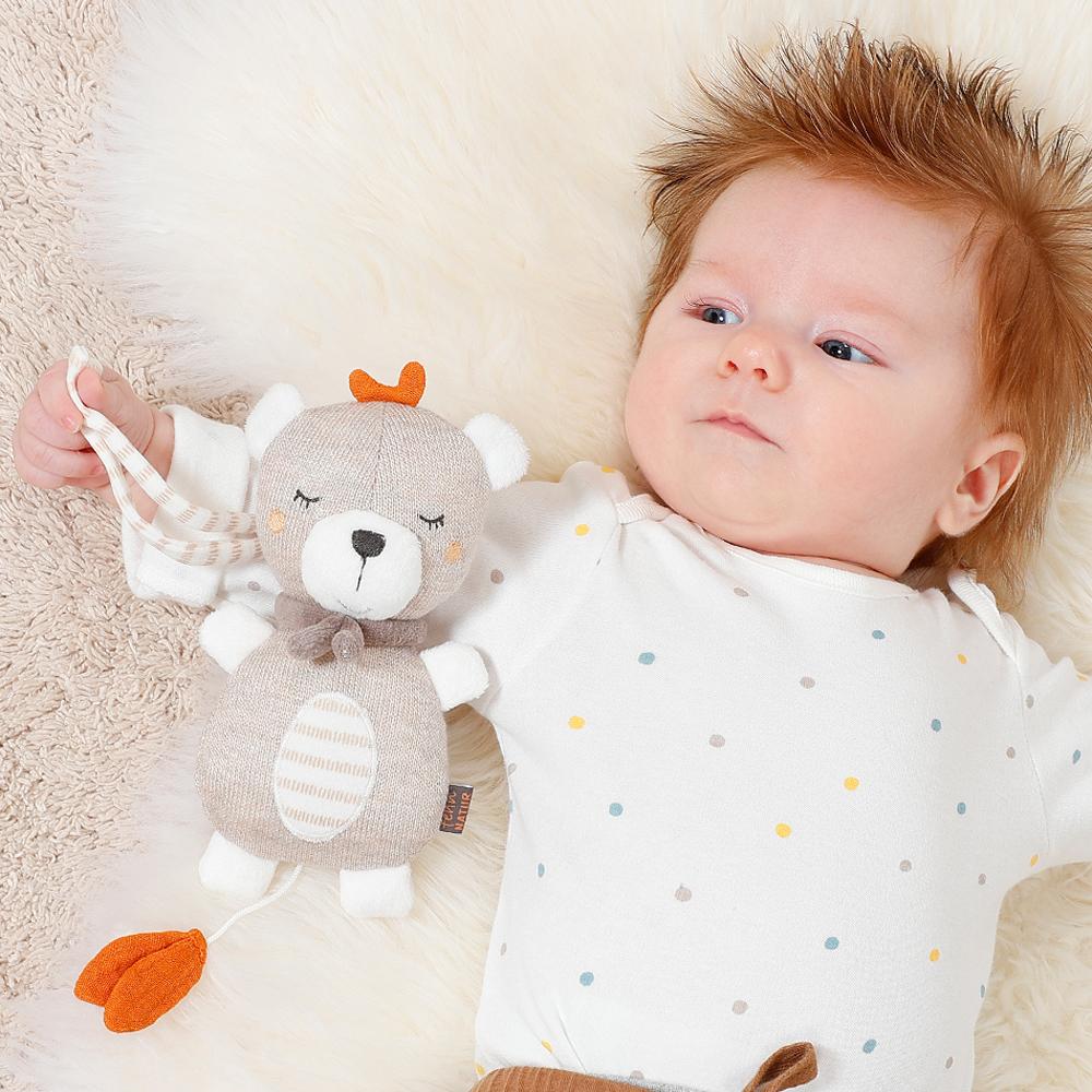 Mini Muziekdoos Teddy