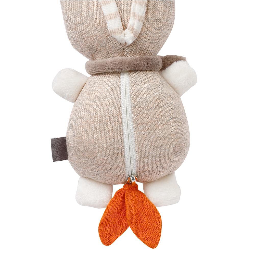 Mini Muziekdoos Teddy