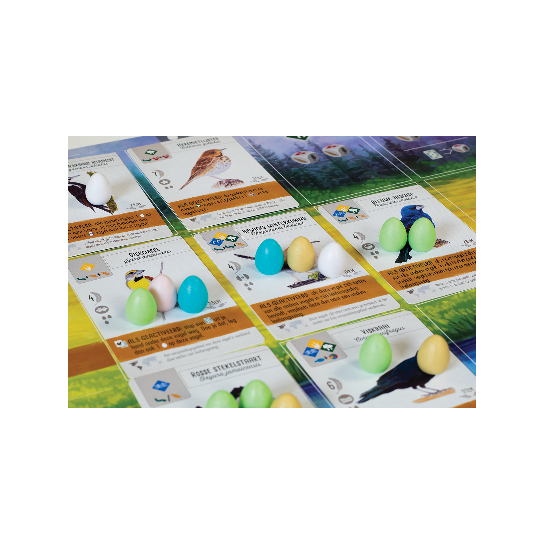 Wingspan - Bordspel