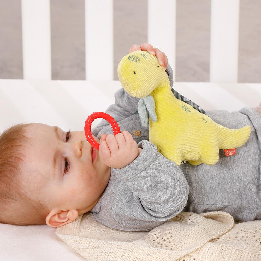 Mini muziekdoos Dino