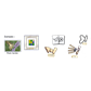 Pictures
