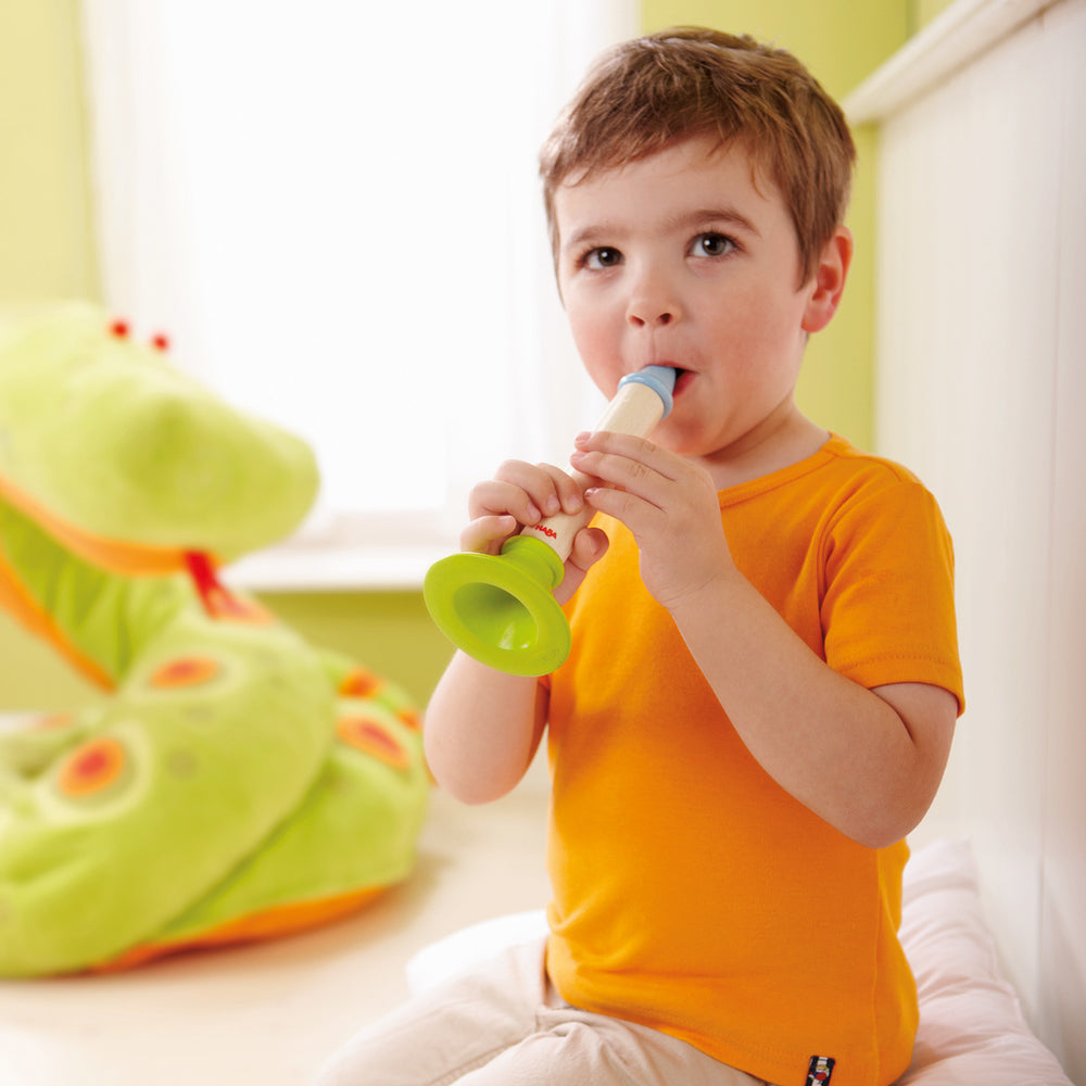 muziekinstrumenten Toeterfluit