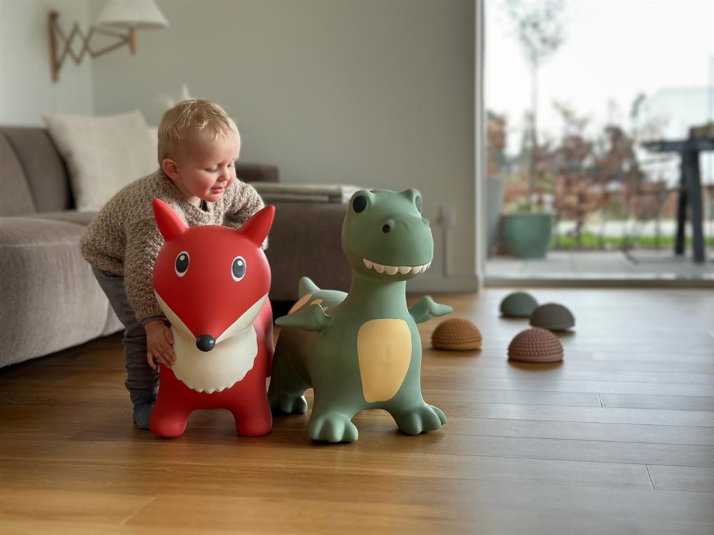 Springdier Dino Dexter - Find that Hippo