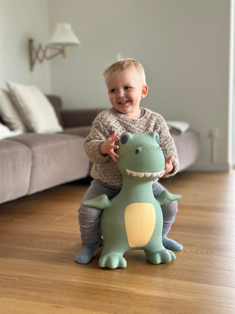 Springdier Dino Dexter - Find that Hippo
