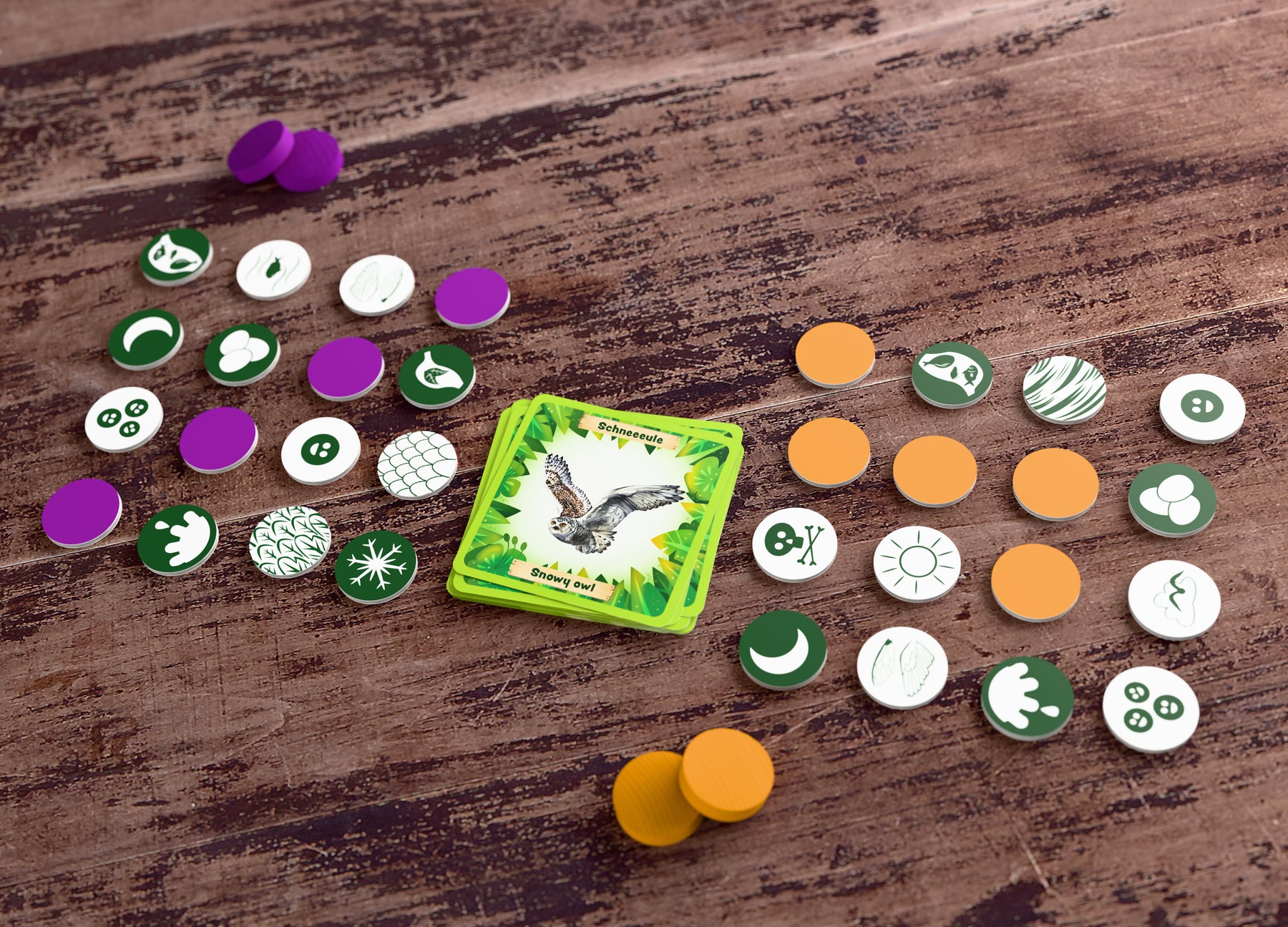 Dieren van de wereld Bingo