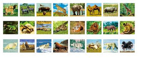 Picmax Viewer - Wilde Dieren