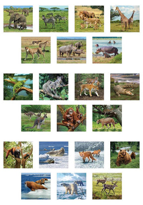 3D Viewer - Wilde Dieren
