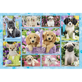 Puppies - 200 stukjes - puzzel
