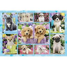 Puppies - 200 stukjes - puzzel