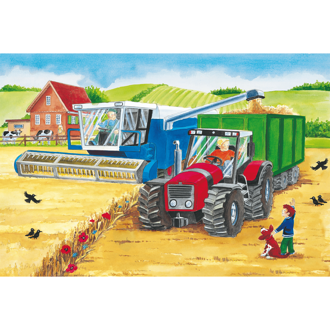 Op de Boerderij - 3 x 24 stukjes - puzzel