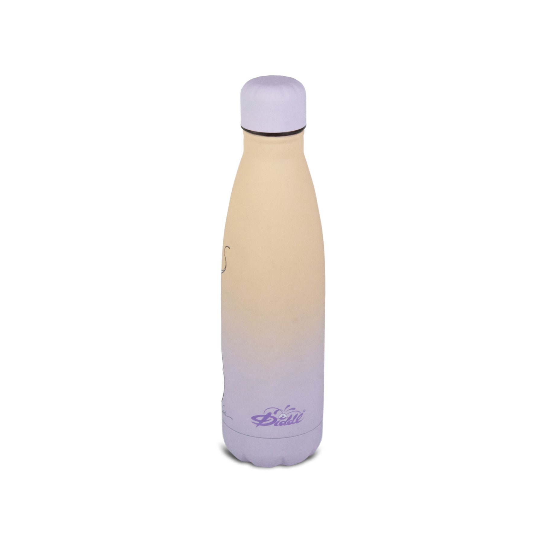 Diddle Drinkfles uit roestvrij staal