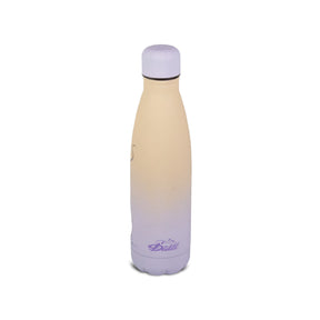 Diddle Drinkfles uit roestvrij staal