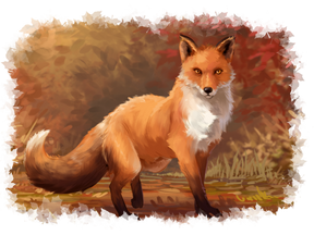 Fall