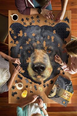 I am puzzle Bear
