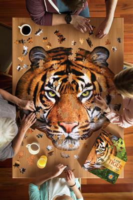 I am puzzle Tiger