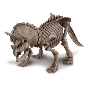 4M KidzLabs Graaf-Je-Donosaurus-op (Triceratops)