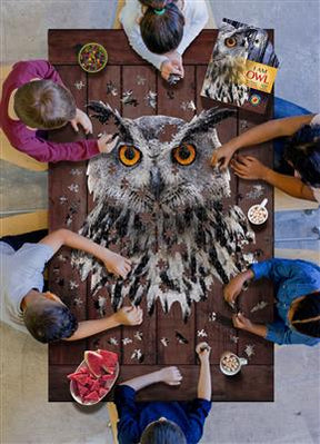 I am puzzle Owl