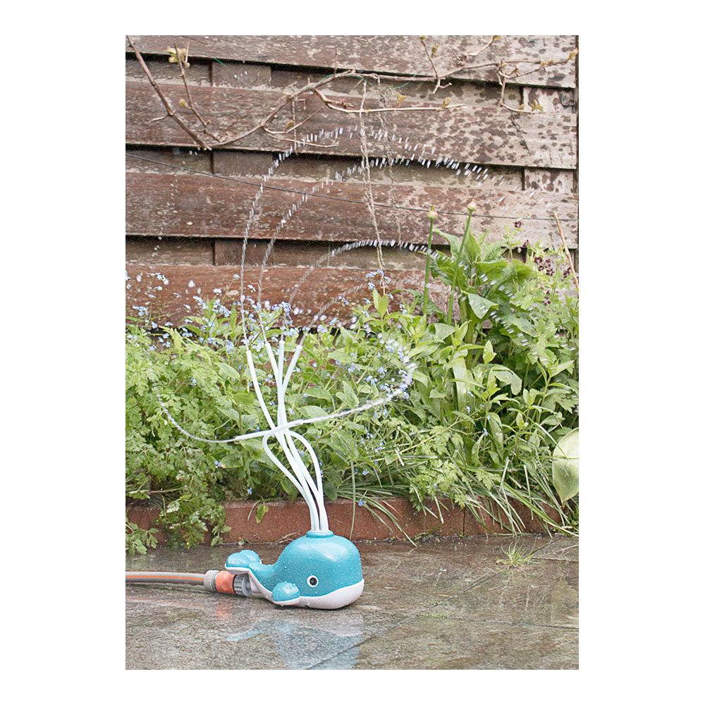 Walvis - spuitende watersproeier