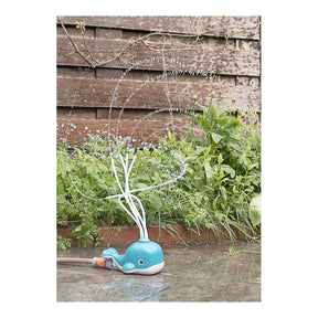 Walvis - spuitende watersproeier