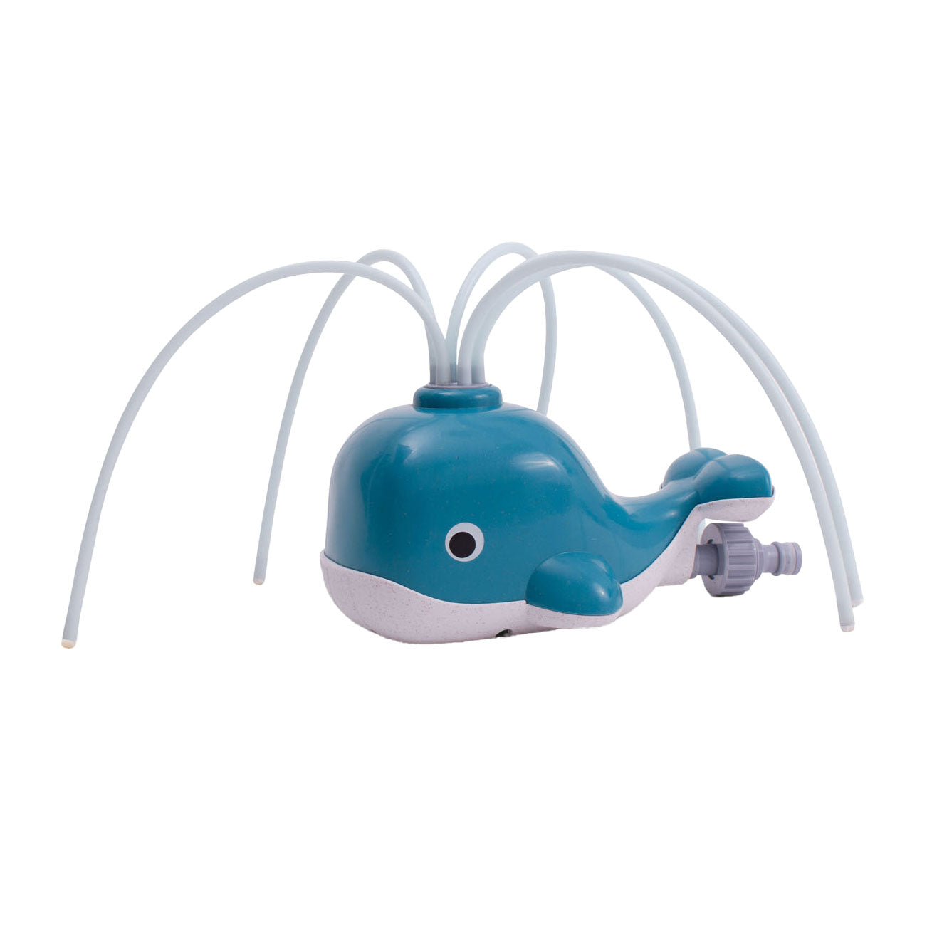 Walvis - spuitende watersproeier
